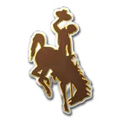 Fan Mats Wyoming Cowboys Heavy Duty Aluminum Embossed Color Emblem