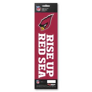 FANMATS Arizona Cardinals All-Star Rug - 34 in. x 42.5 in.