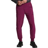 Dickies Men's Mid Rise Jogger DK223S