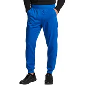 Dickies Men's Mid Rise Jogger DK224T