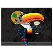 Holland Notre Dame - Guinness (Toucan-2) Canvas Wall Art