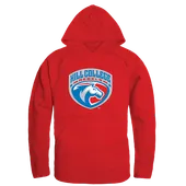 W Republic The Freshman Hoodie Hill College Rebels 512-523