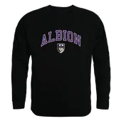 W Republic Campus Crewneck Albion Britons 541-497