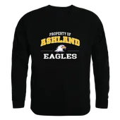 W Republic Property Of Crewneck Ashland Eagles 545-476