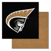 Fan Mats Anderson (Sc) Trojans Team Carpet Tiles - 45 Sq Ft.