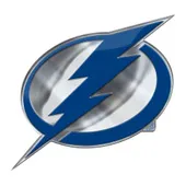 Fan Mats Tampa Bay Lightning Heavy Duty Aluminum Embossed Color Emblem