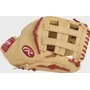 Rawlings "Select Pro Lite" Series Youth Baseball Glove - B. HARPER SPL120BHC