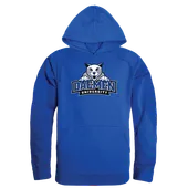 W Republic Daemen College Wildcats The Freshman Hoodie 512-513