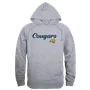 W Republic Averett Averett Cougars Script Hoodie 558-614