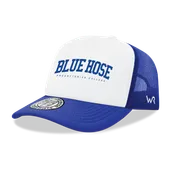 W Republic Presbyterian College Blue Hose Game Day Printed Hat 1042-472