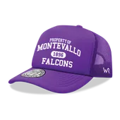 W Republic Property Of Montevallo Falcons Baseball Cap 1027-551