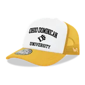 W Republic Ohio Dominican Panthers Hat 1043-563