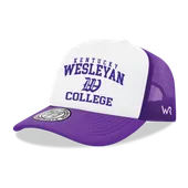 W Republic Kentucky Wesleyan Panthers Hat 1043-659