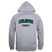 W Republic Cleveland State Vikings Family Hoodie 573-282