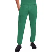 Healing Hands Men's Dante Jogger Scrub Pant 9301