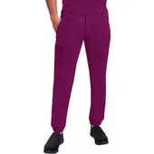 Healing Hands Men's Dante Jogger Scrub Pant 9301