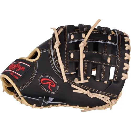 Rawlings The Gold Glove Co. 軟式用ファーストミット Rawlings Gold Glove Legend 12.5