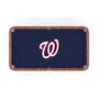 Holland Washington Nationals Pool Table Cloth