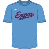 Nike MLB Adult Short Sleeve Dri-Fit Crew Neck Tee Washington Nationals N223