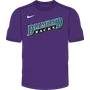 Nike MLB Adult Short Sleeve Dri-Fit Crew Neck Tee Arizona Diamondbacks N223