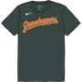 Nike MiLB Youth Short Sleeve Dri-Fit Crew Neck Tee Greensboro Grasshoppers NY23
