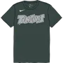 Nike MiLB Youth Short Sleeve Dri-Fit Crew Neck Tee Fort Wayne Tincaps NY23