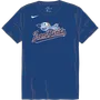Nike MiLB Youth Short Sleeve Cotton Tee Aberdeen Ironbirds NY28