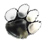 Fan Mats Clemson University Molded Chrome Emblem 123-F609 Clemson Tigers