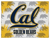 Holland Univ of California Logo Printed Canvas Art