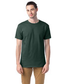 Hanes Adult Youth Comfortsoft Cotton T-Shirt ATHLETIC DK GREN Primary