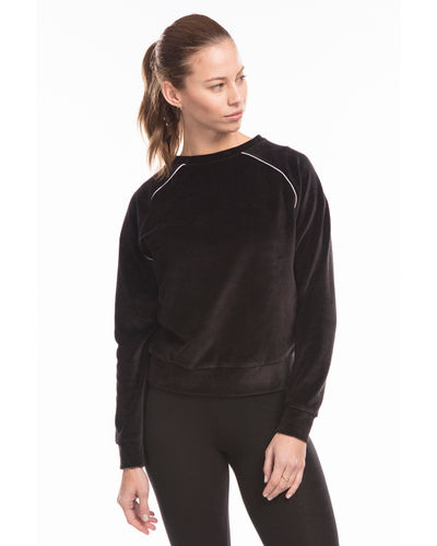Us Blanks Ladies' Velour Long Sleeve Crop T-Shirt US538. Printing is available for this item.