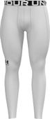 Under Armour Men's ColdGear Armour Leggings 1366075