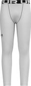 Under Armour Boys' ColdGear Armour Leggings 1366374