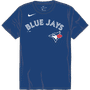 Nike MLB Adult/Youth Short Sleeve Cotton Tee N199 / NY28 TORONTO BLUE JAYS