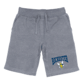 W Republic Premium Shorts University Of Rochester Yellowjackets 567-146