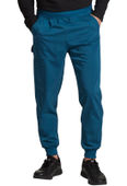 Dickies Men's Mid Rise Jogger DK224