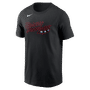 Nike MiLB Adult Short Sleeve Cotton Tee Rocket City Trash Pandas N199