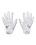 100 - WHITE/METALLIC SILVER