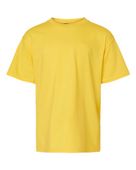 Gildan Softstyle Youth Cvc T-Shirt GIL-67000B DAISY MIST Primary