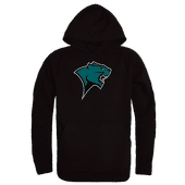 W Republic Chicago State Cougars The Freshman Hoodie 512-631 BLACK Primary