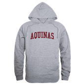 W Republic Aquinas Saints Game Day Hoodie 503-611 HEATHER GREY Primary