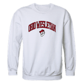 W Republic Ohio Wesleyan Bishops Campus Crewneck 541-564