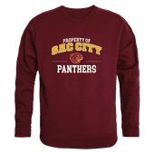 W Republic Sacramento City Panthers Property Of Crewneck 545-578
