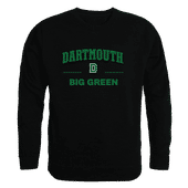 W Republic Dartmouth College Big Green Property Of Crewneck 545-705