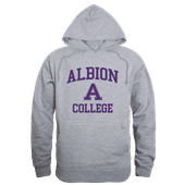 W Republic Albion Britons Hoodie 569-497 HEATHER GREY Primary