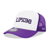 W Republic Lipscomb Bisons Game Day Printed Hat 1042-328