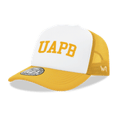 W Republic Arkansas Pine Bluff Golden Lions Game Day Printed Hat 1042-418