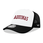 W Republic Aquinas Saints Game Day Printed Hat 1042-611