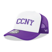 W Republic CCNY Beavers Game Day Printed Hat 1042-633