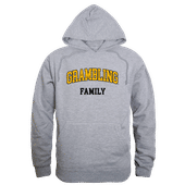W Republic Grambling State Tigers Family Hoodie 573-170 HEATHER GREY Primary